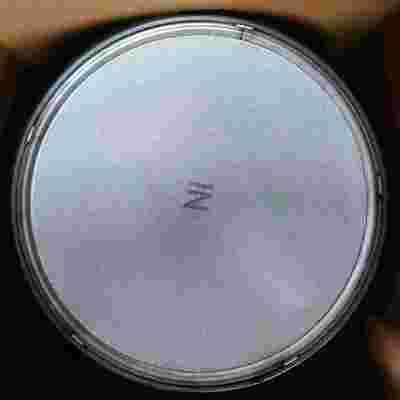 Buy Mass Production High Temperature Stability Selective Catalytic Reduction Catalyst for Commercial Vehicle Aftertreatment online manufacture